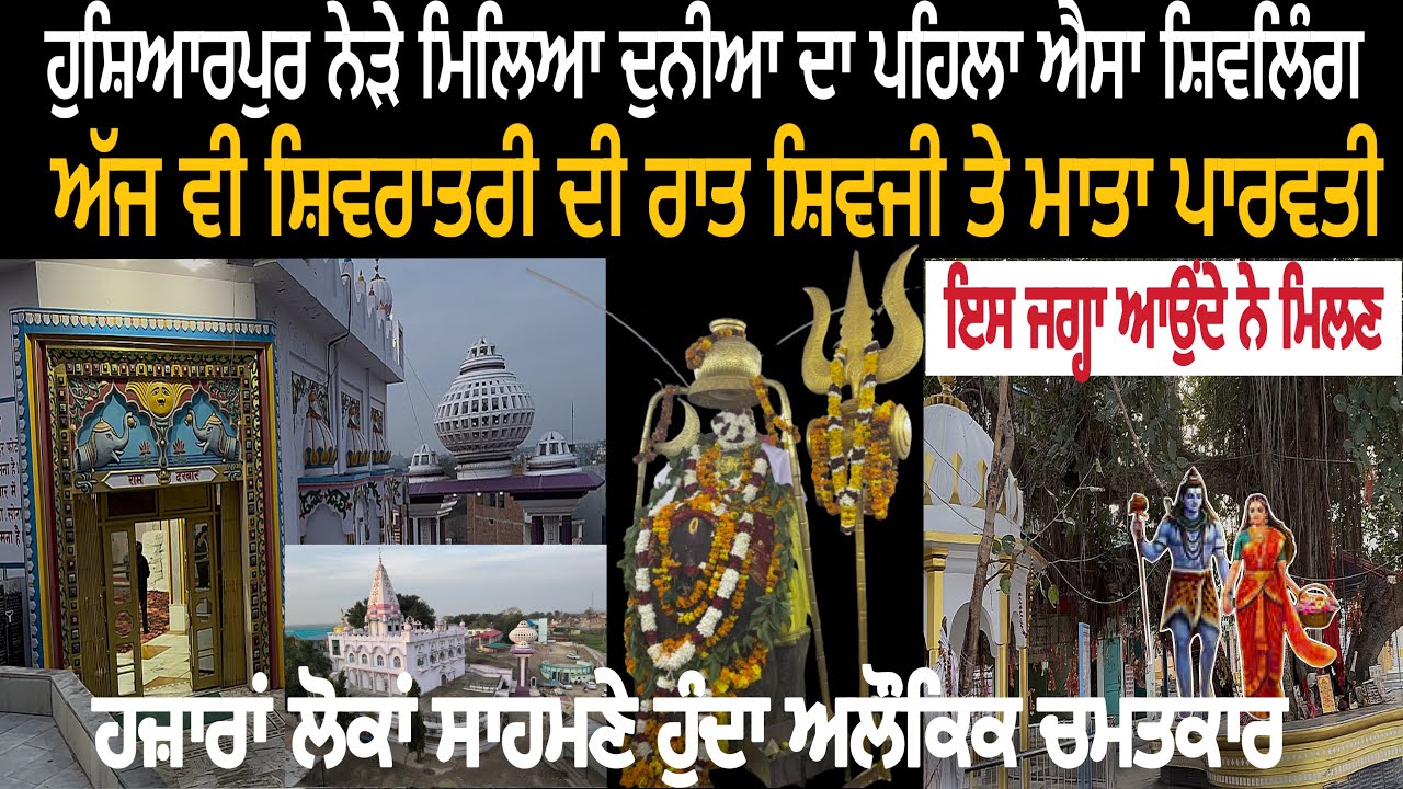 होशियारपुर के पास मिला दुनिया का पहला ऐसा शिवलिग-शिवरात्रि की रात शिवजी और माता पार्वती आते है मिलने