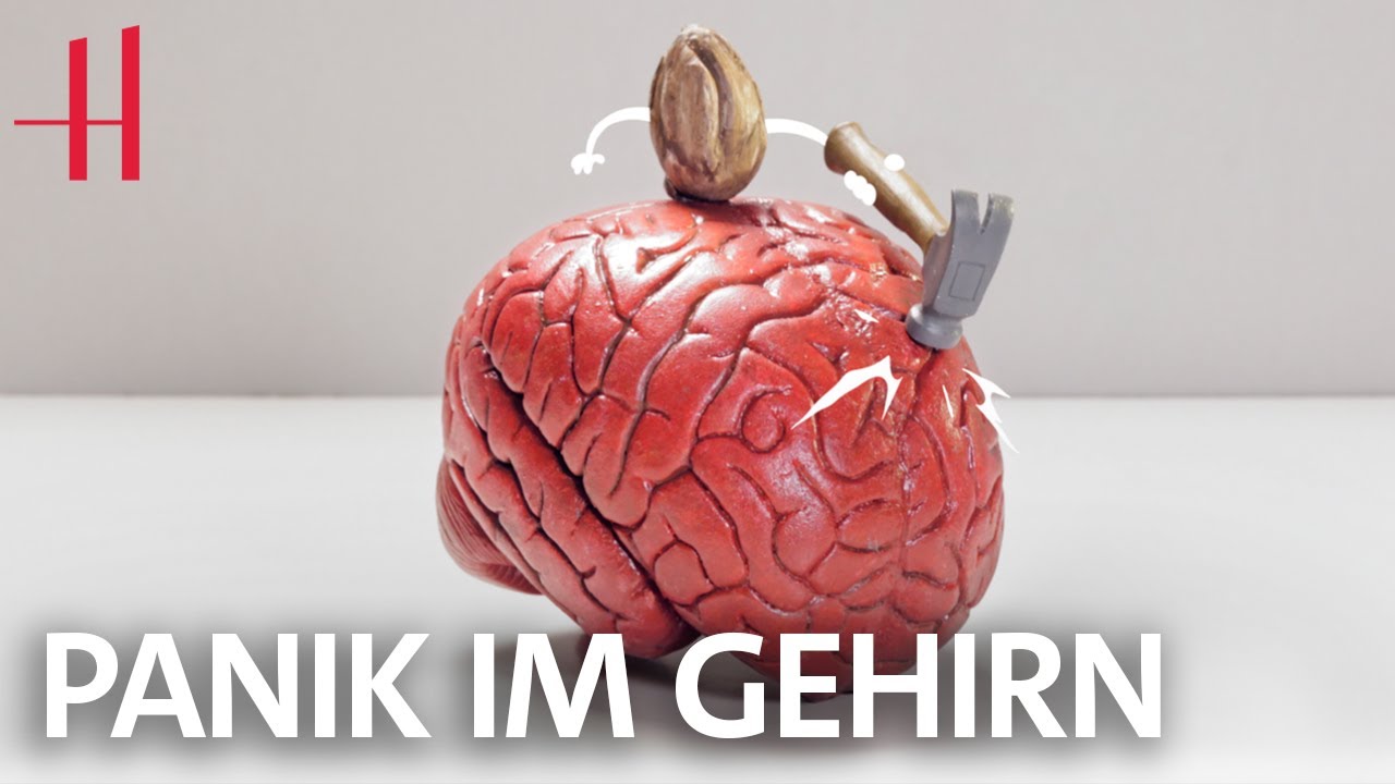 Dr. Mondino: Die Macht der Mandel – Druck und Angst beim Elfmeter?