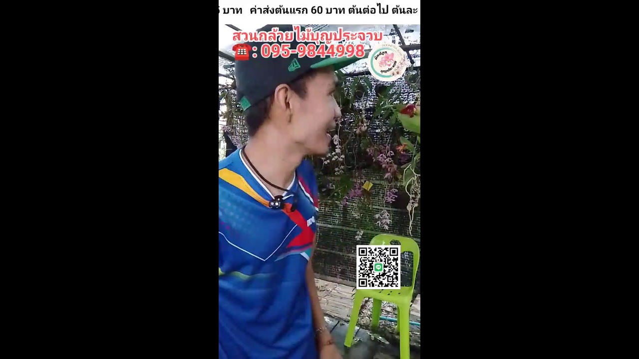 อัพเดทราคากล้วยไม้ EP.739 19/3/69 