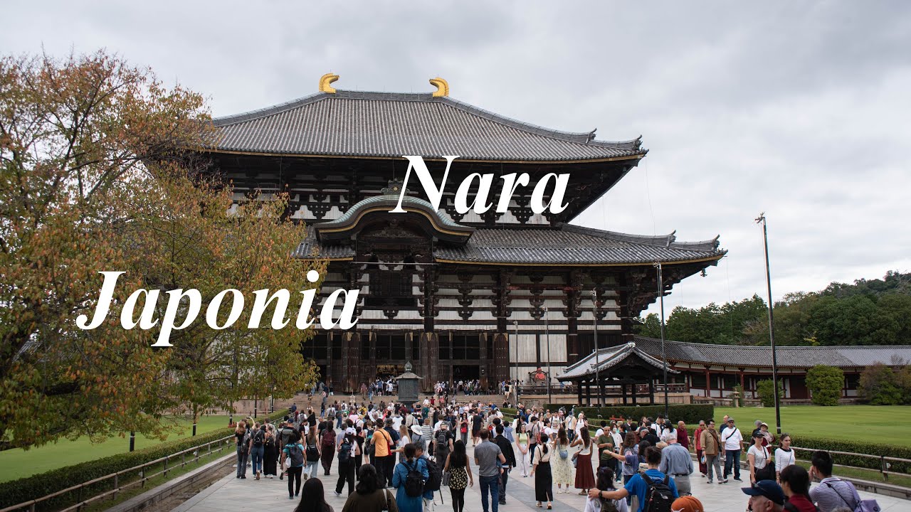 Nara Japonia 2025r