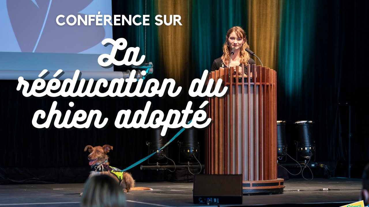 Conférence | Rééducation du chien adopté