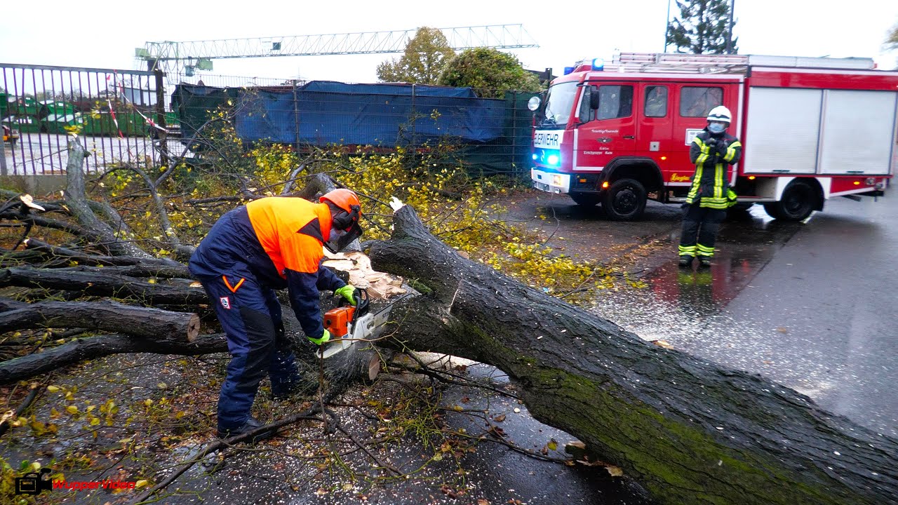 Sturm Ignatz entwurzelt zahlreiche Bäume in Köln - Feuerwehr im Dauereinsatz | 21.10.2021