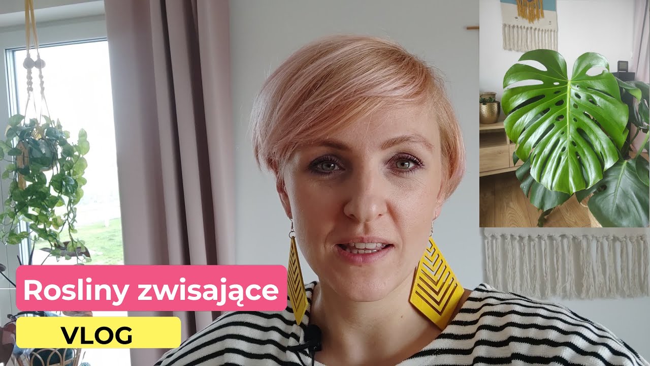 Roślinny vlog | Rośliny zwisające | Jak wyhodować taką monsterę? | PIPILOTKA