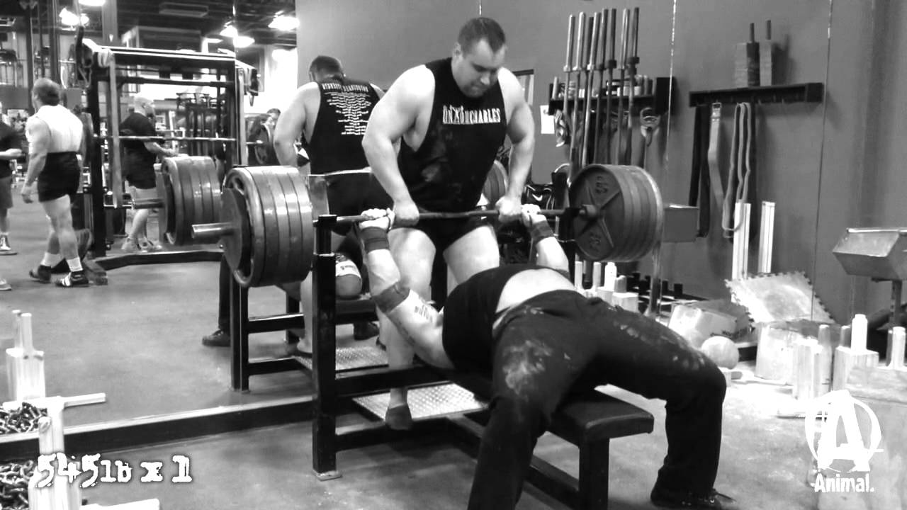 The Animal Underground: Derek Kendall Pressing & Benching