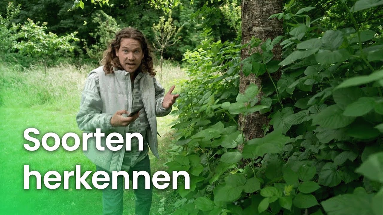 Soorten Herkennen