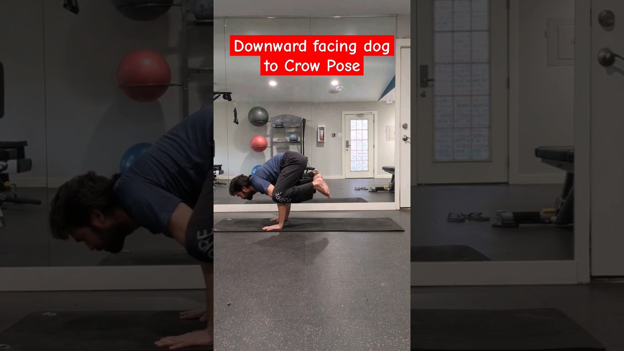Downward facing dog to Crow Pose transition #downwardfacingdog #crowpose #yoga #yogicfitness
