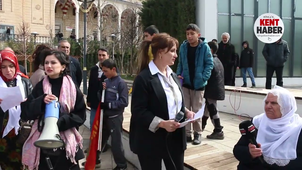 Kadınlar 8 Mart’ta Bingöl’de Bir Araya Geldi