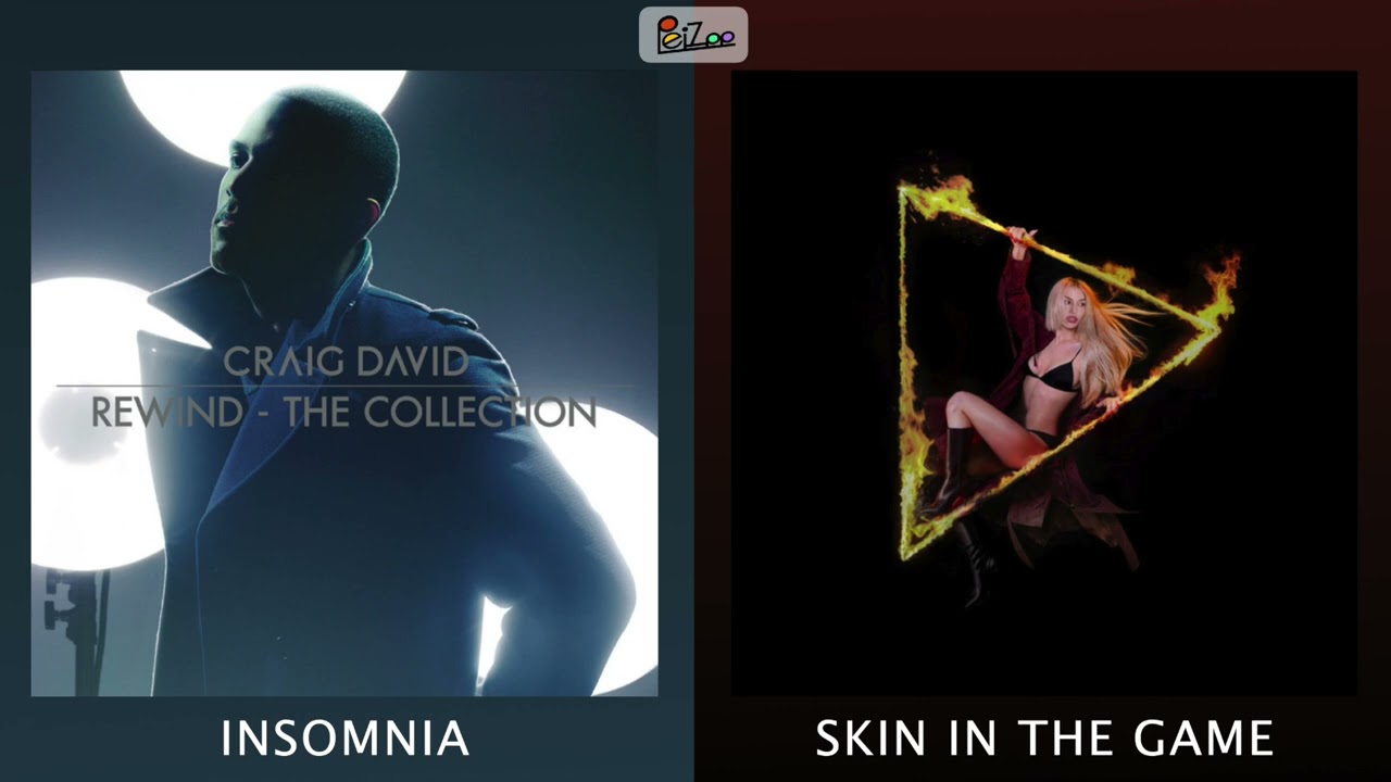 Insomnia x Skin In The Game (mashup) - Craig David, Ava Max