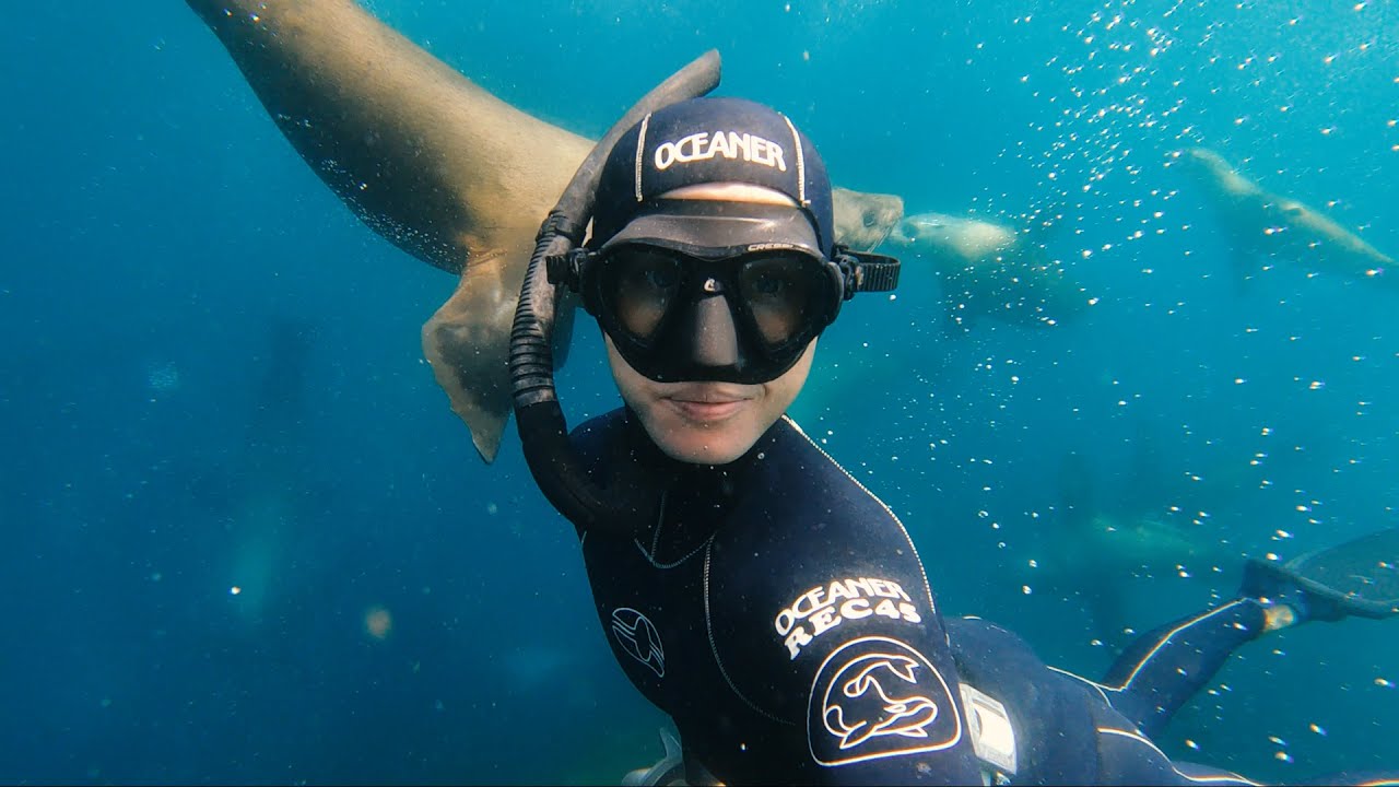 FREEDIVING With Fur Seals // Exploring new underwater caves, surrounded by hundreds of seals.