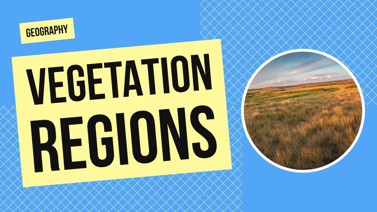 Vegetation Regions Around the World | Geography Activity