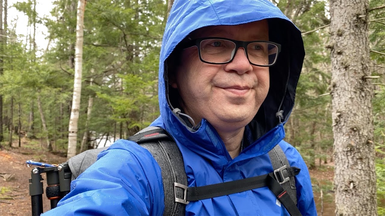 Photography In The Rain - Forest Walk