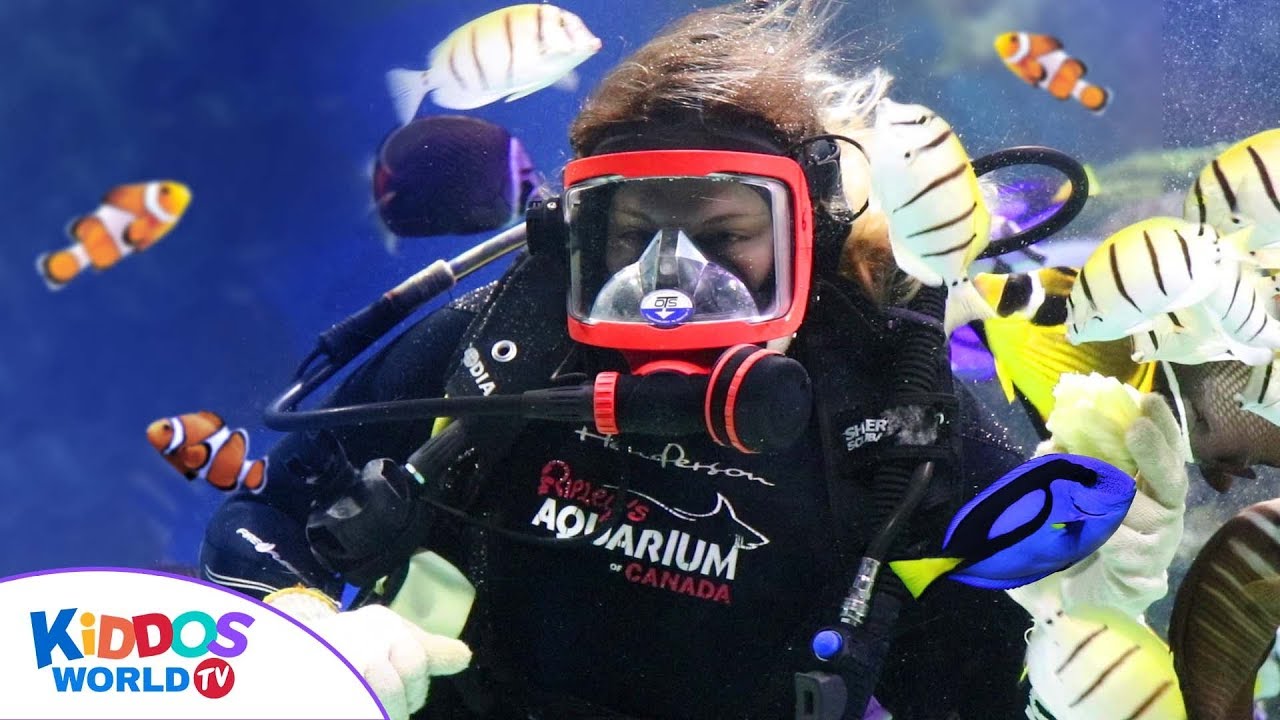Ripley's Aquarium Toronto Canada Full Tour
