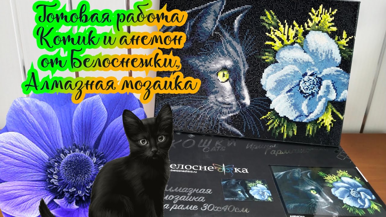 Готовая работа. Котик и анемон от Белоснежки. Алмазная мозаика