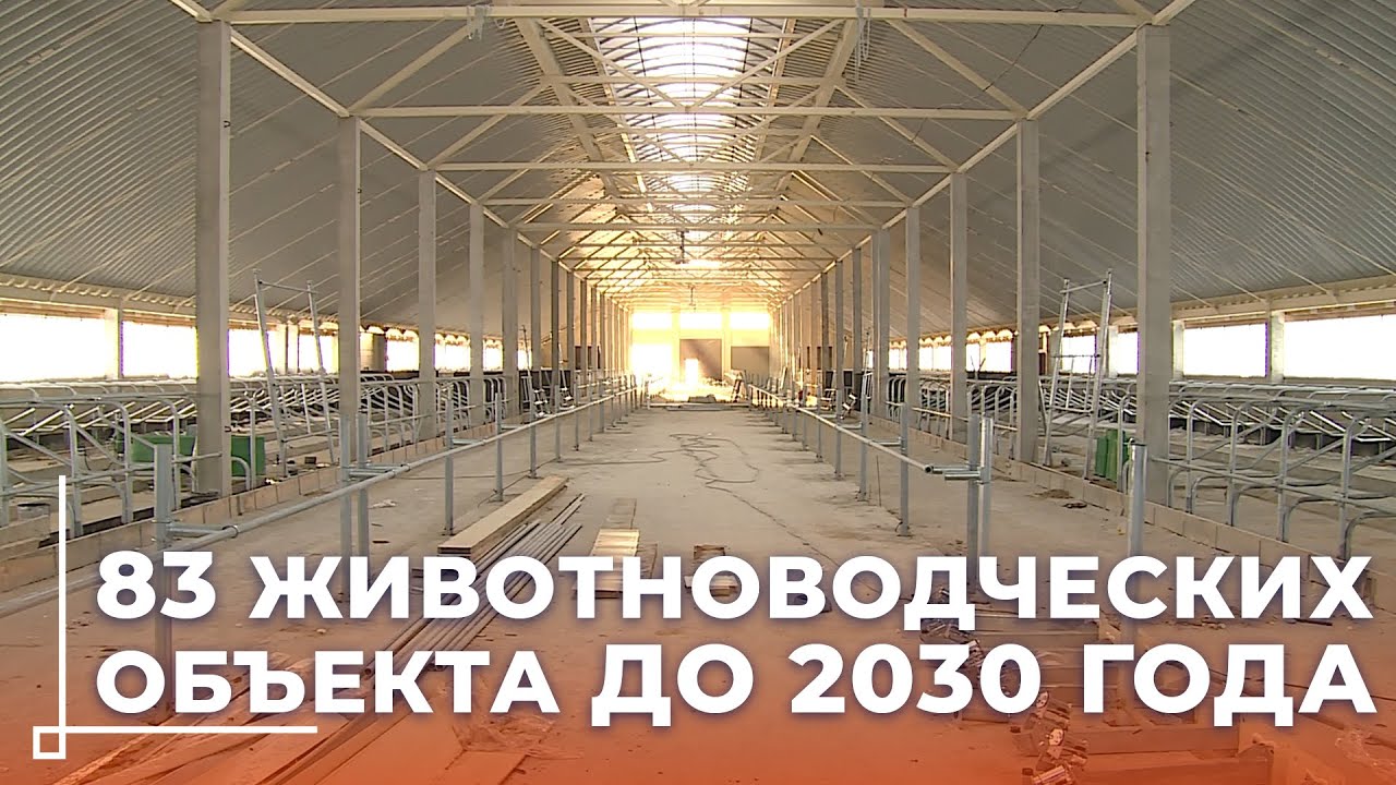До 2030 года в Могилёвской области планируют построить и модернизировать 83 животноводческих объекта