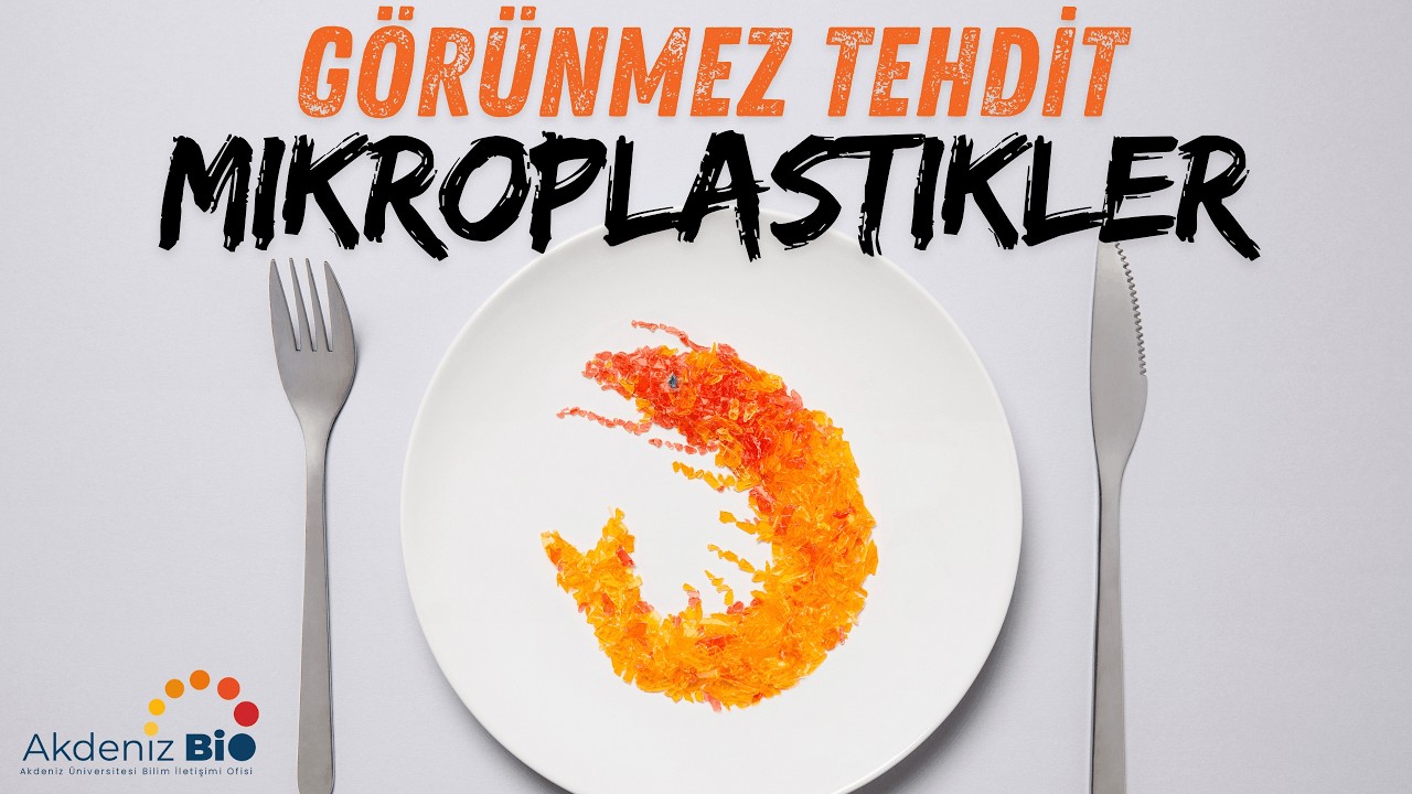 Görünmez Tehdit: Mikroplastikler