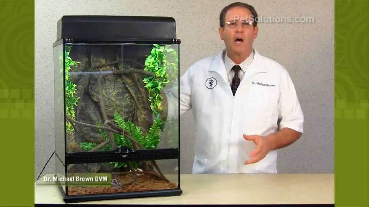 PetSolutions: Exo Terra Rainforest Habitat Kit
