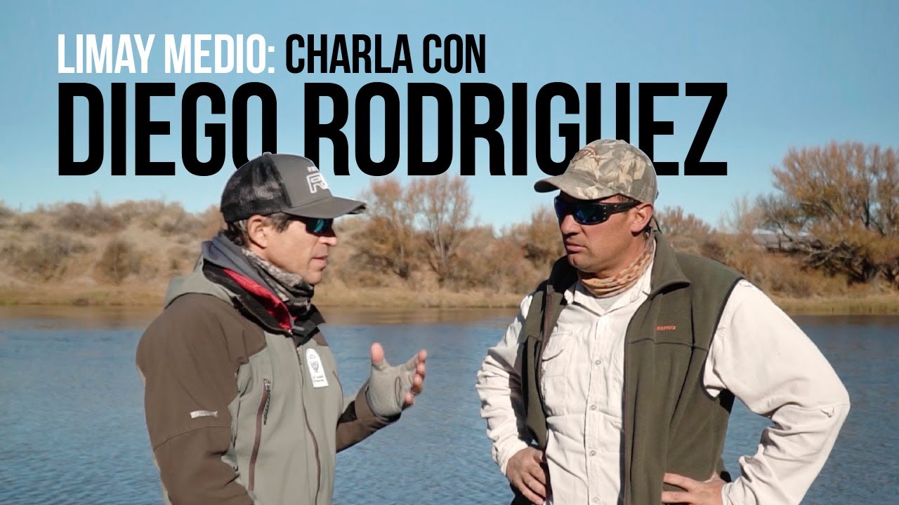 Pesca con mosca en el Limay Medio: charla con Diego Rodríguez.