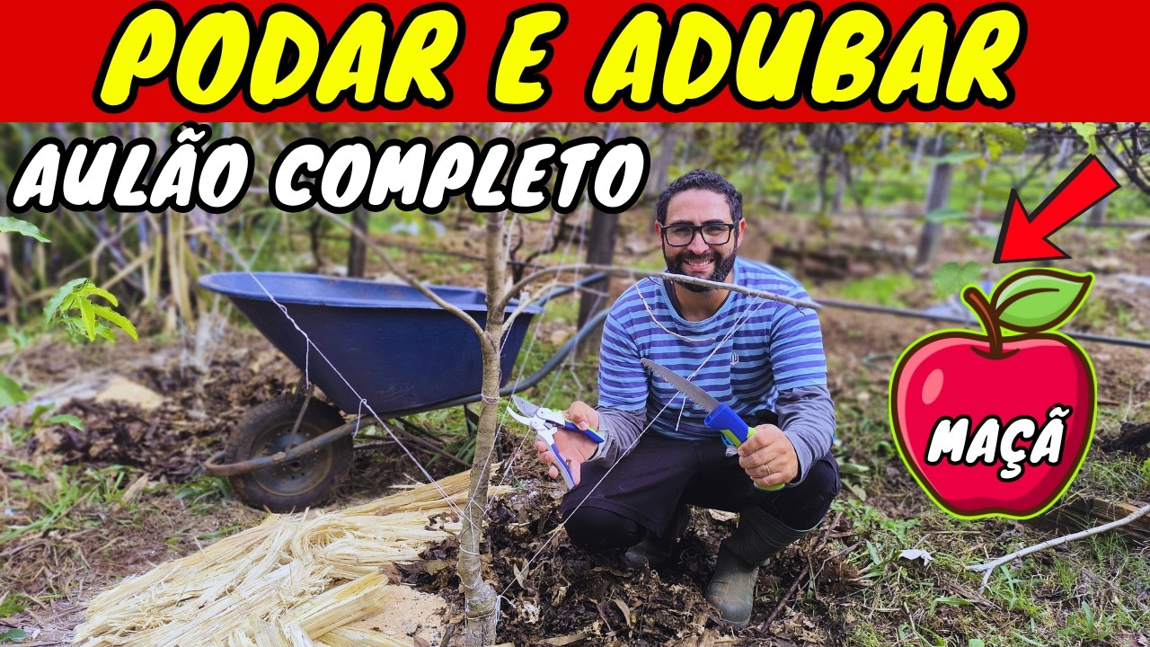 ✅Como PODAR e ADUBAR um Pé de MAÇÃ (Aula Completa) SAIBA TUDO