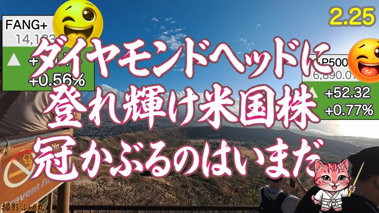はんぱーつ！そしておはラッキー！エヌビディア決算に向けて整える！ハイテク・ビッグテックよし【米国株ニュース、新NISA攻略！FANG+S&P500=❤️】