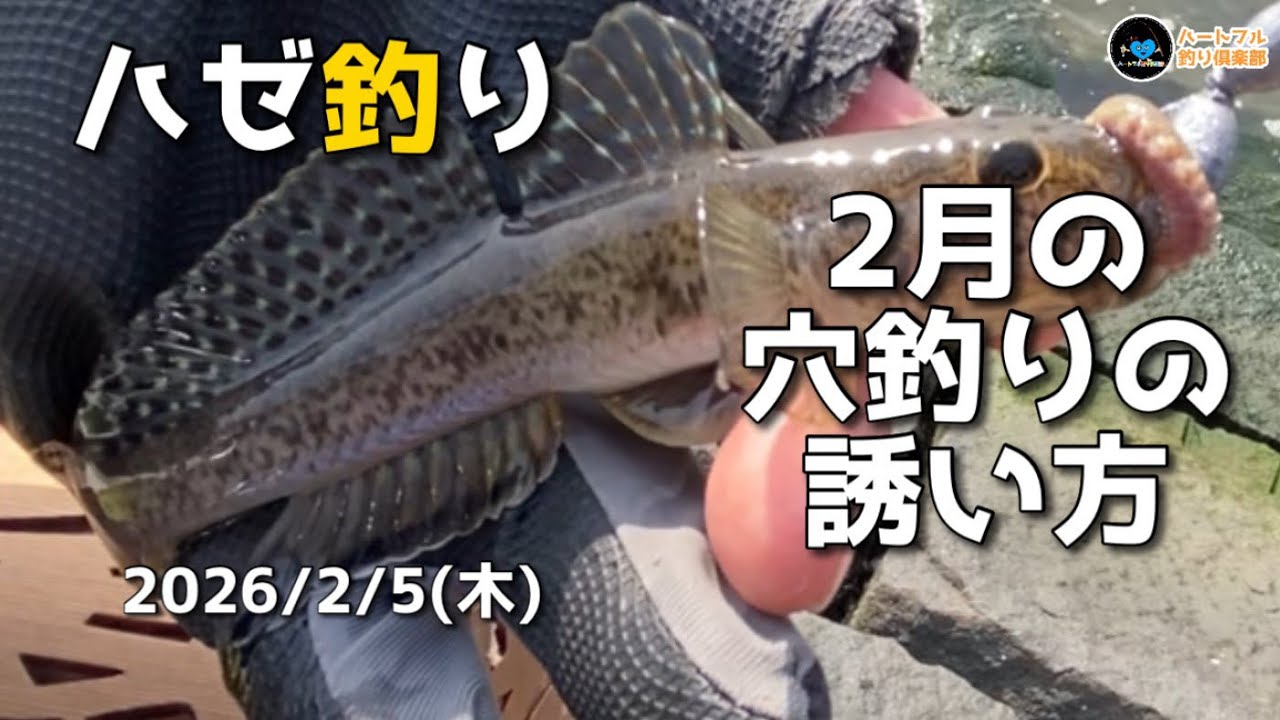 【ハゼ釣り】2月の穴釣りの誘い方2026年2月5日