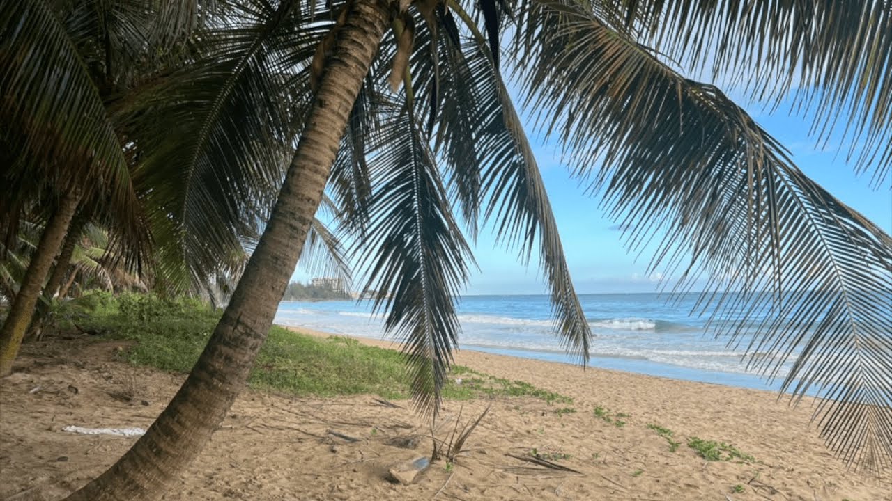 De vuelta pa la vuelta 🇵🇷🇵🇷🇵🇷