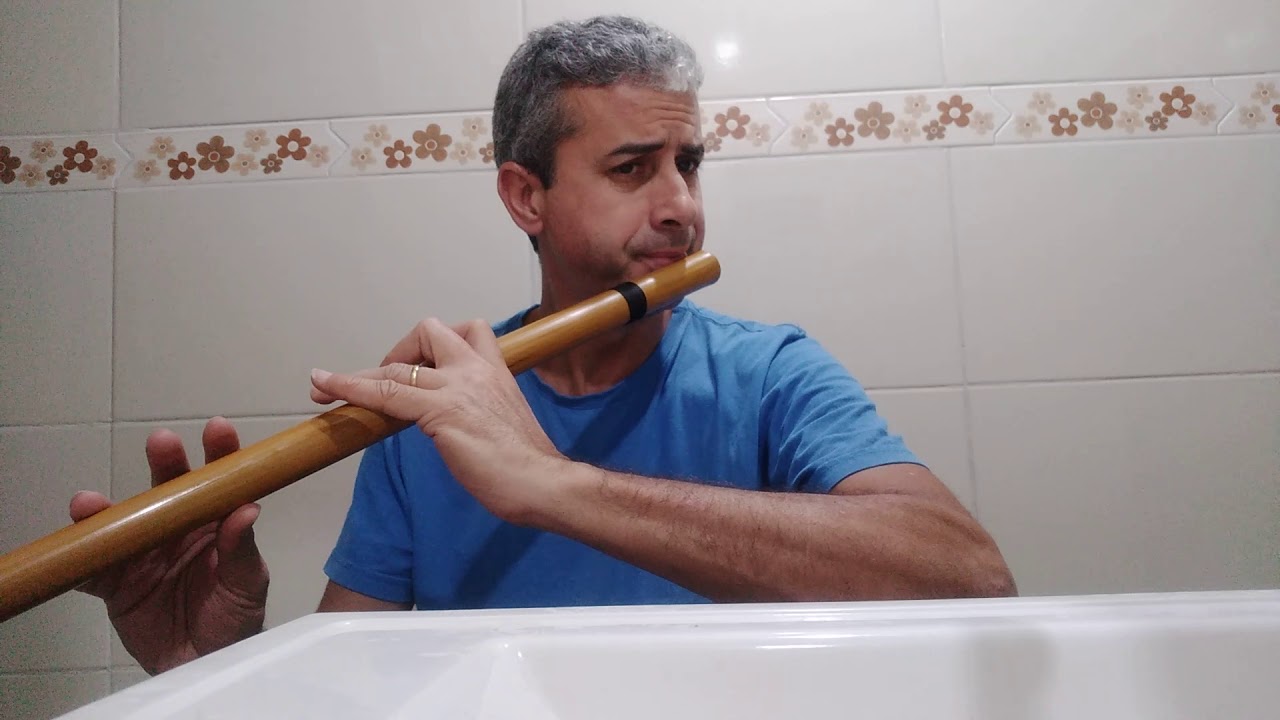 Flauta transversa de bamb&uacute; D