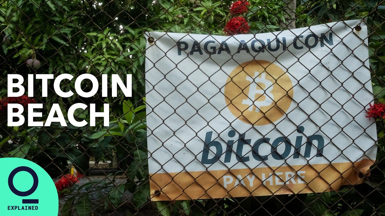 What Happened When This El Salvador Surf Town Went Full Crypto
