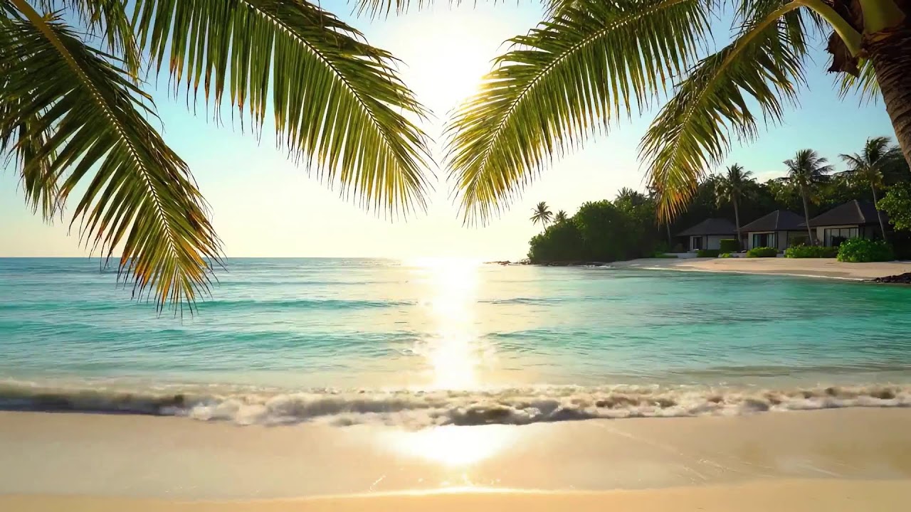 Sunset at the Beach 🌅 Chill Tropical House Mix for Driving & Relaxing