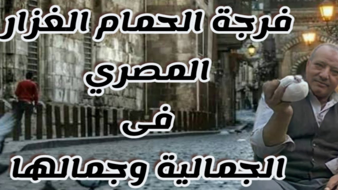 فرجة الحمام الغزار المصرى فى الجمالية وجمالها