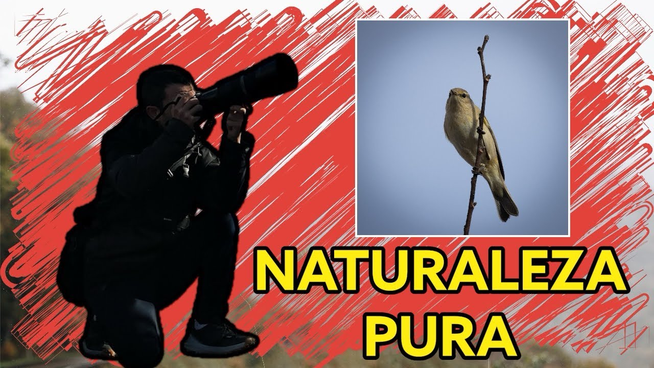 paseando por la 👉 NATURALEZA vídeo relajante en la naturaleza en 4k en modo cinematográfico FOTOS ✅✅
