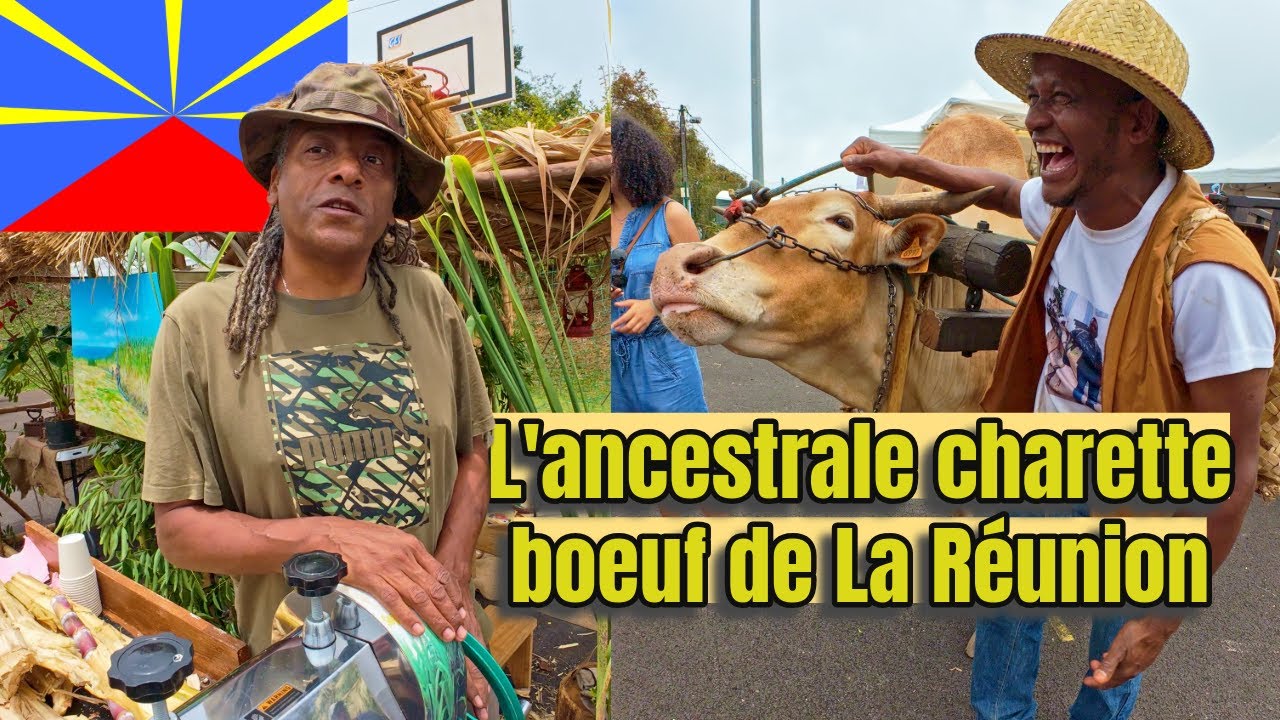 Immersion Fête Créole à la RÉUNION - Découvrez l'île sans filtres EP Bonus