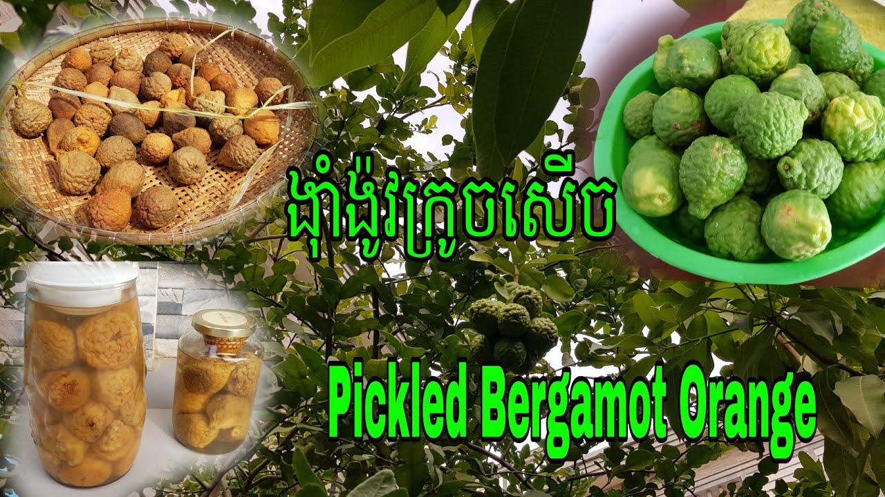 Delicious Pickled Bergamot Orrange (ង៉ាំង៉ូវក្រូចសើចពិសេស)