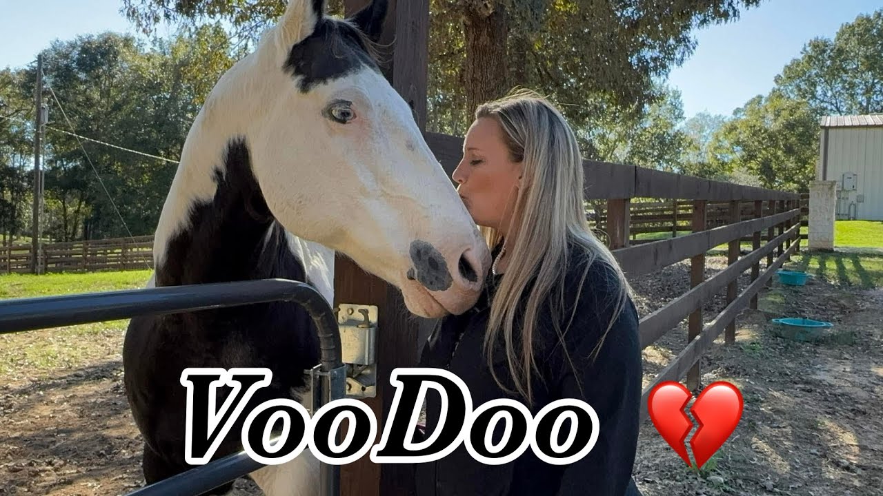 VooDoo, Our King