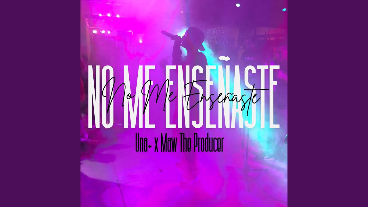 No Me Enseñaste