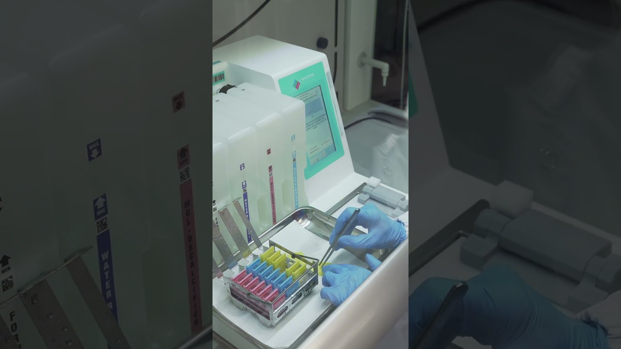 Mol-Decalcifier | EDTA-Based Decalcification for Precise, Safe Tissue Processing