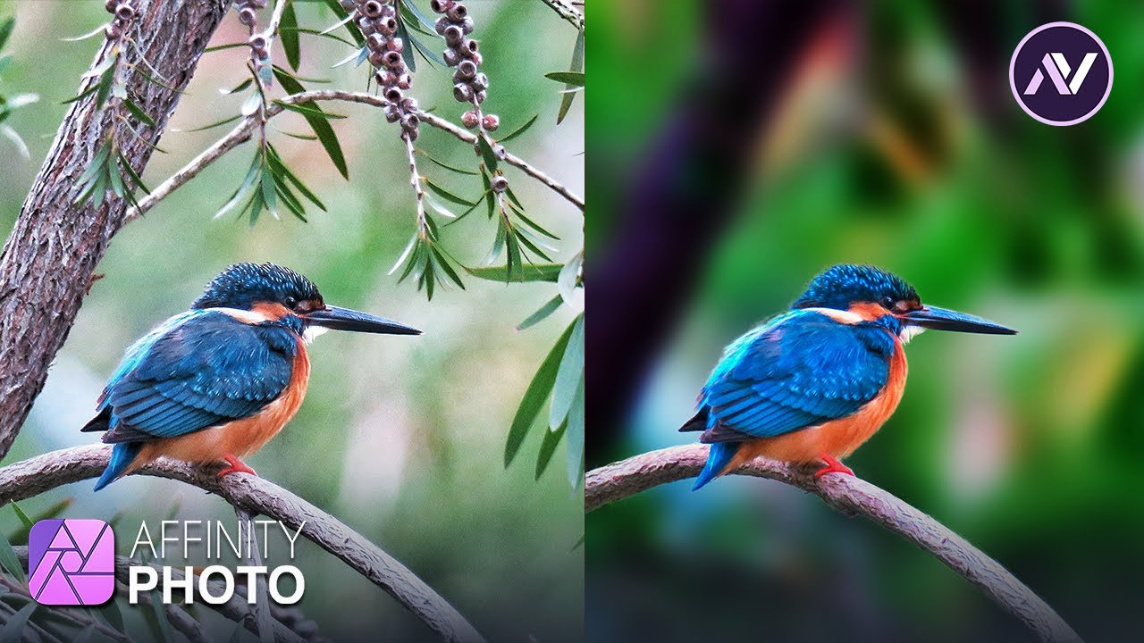 Deep Blur Background (Like DSLR style) In Affinity Photo  | Affinity Photo Background Blur