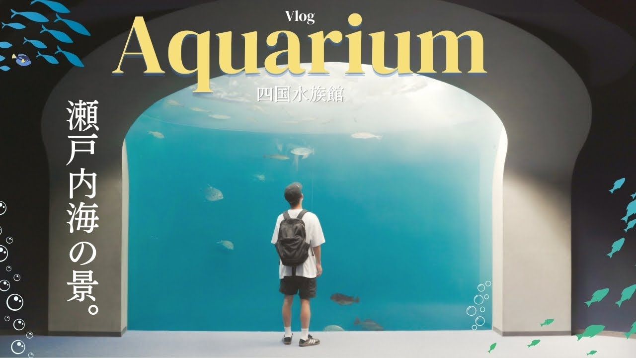 【Vlog】｜　まるでアート⁉︎ 四国水族館へ行ってきたよ！＃四国水族館＃移住 #香川観光#うどん