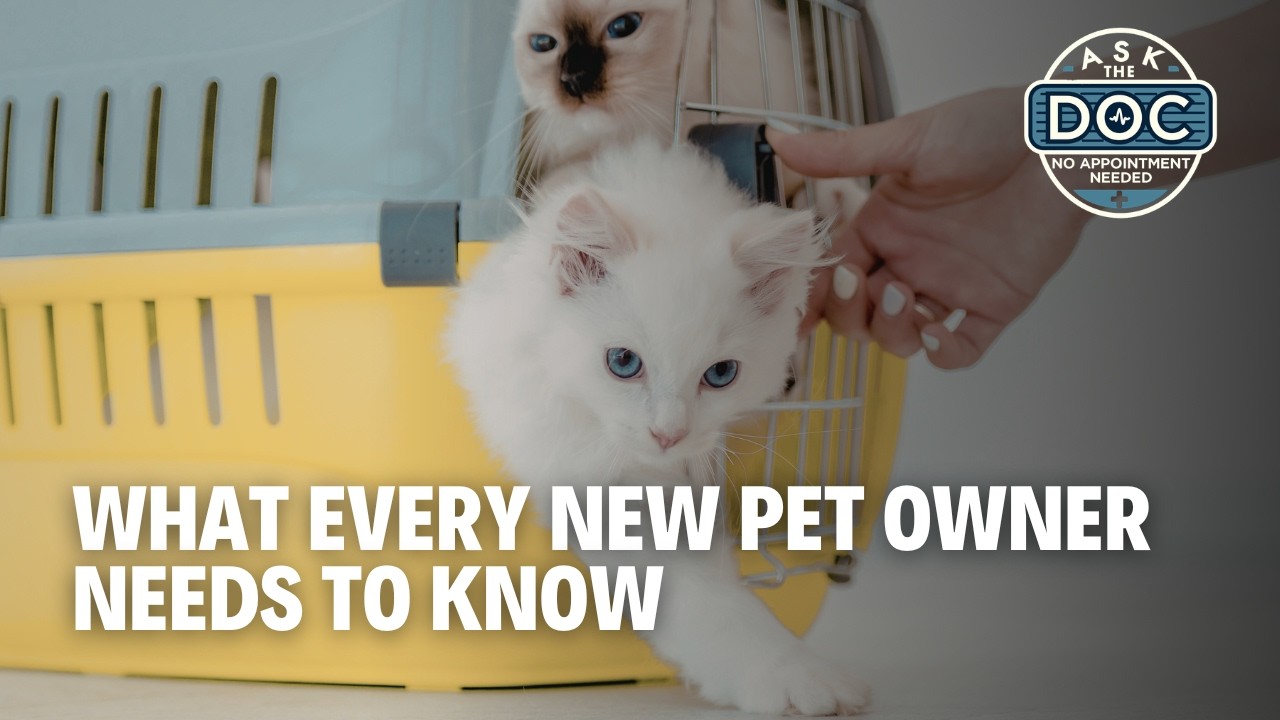 Pet-Proofing Your Home 101 | Ask The Doc