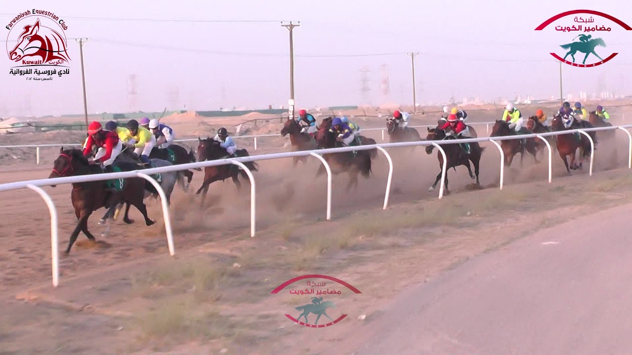 البطل حامد لـ أسطبل العويض