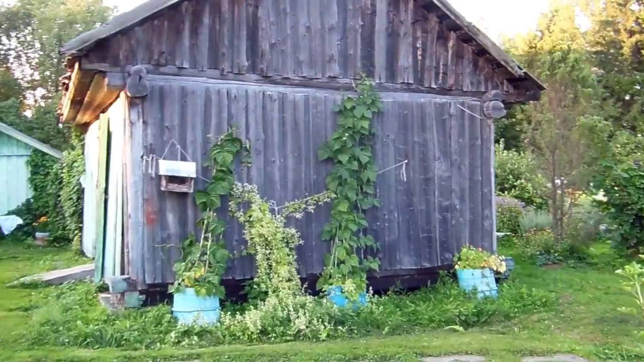 Russian village
