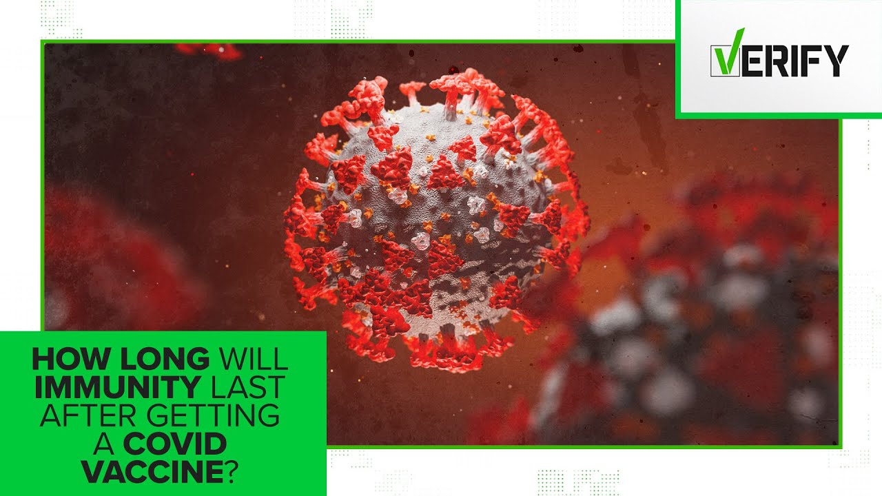VERIFY: Length of immunity after getting COVID-19 vaccine remains unclear