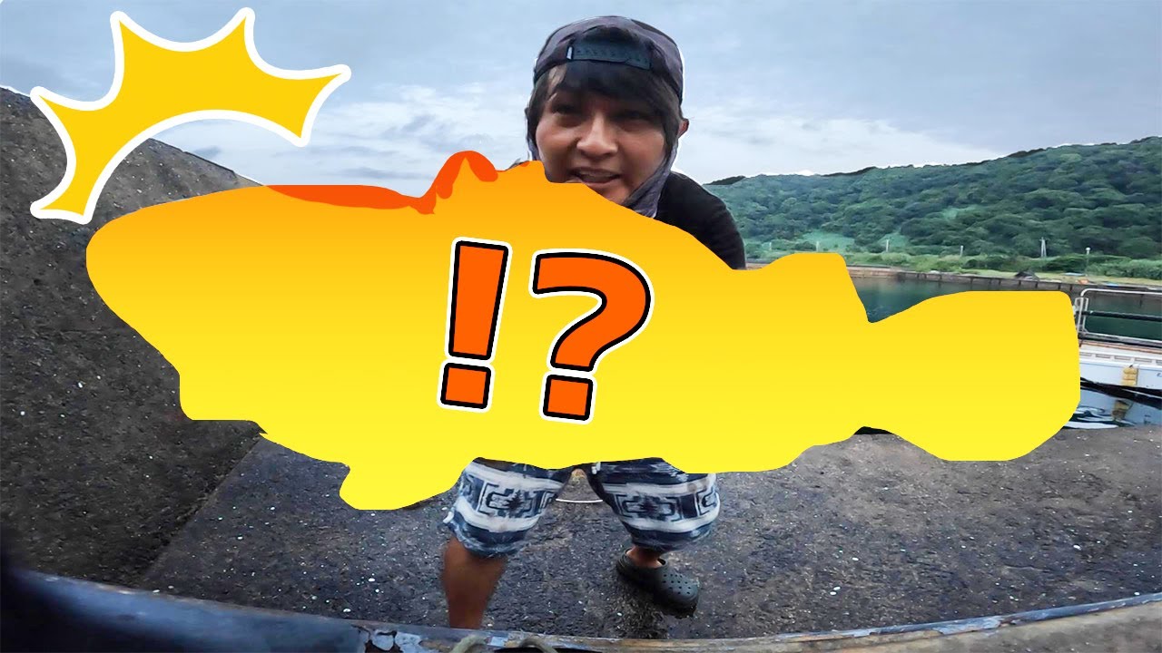 離島堤防でアジが入れ食い！！そしてそのアジをエサにしたら・・・
