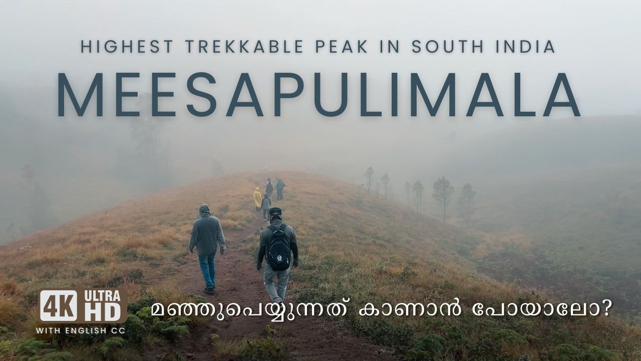 മീശപ്പുലിമലയിൽ മഞ്ഞുപെയ്യുന്നത് കണ്ടിട്ടുണ്ടോ?; 4K UHD @trippingvibes