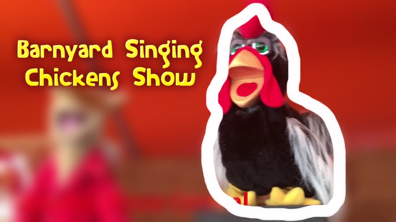 Barnyard Singing Chickens Animatronic Show!