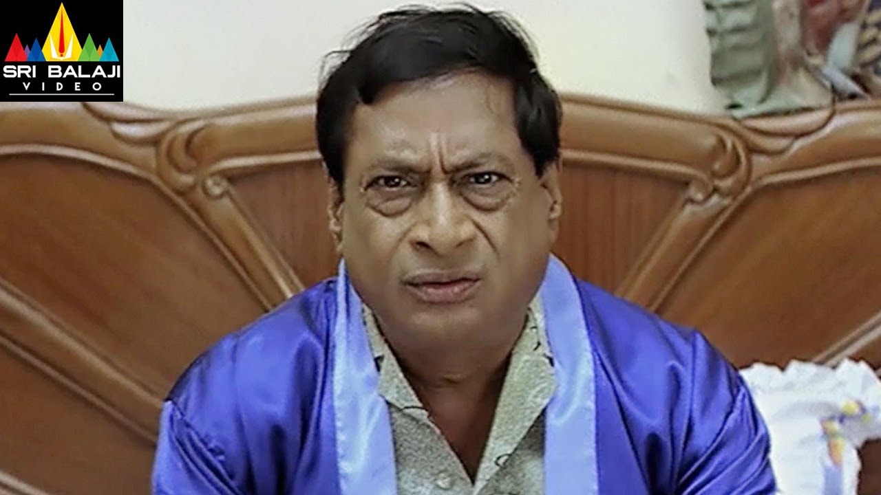 Comedy Scenes Back to Back | Telugu Comedy Scenes Volume 29 | Sri Balaji Video