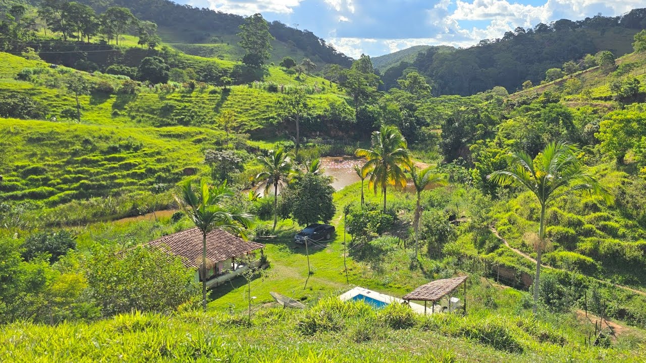 ✨️ VENDE SÍTIO 4 ALQUEIRES ✨️ REGIÃO TEÓFILO OTONI-MG R$450.000.00