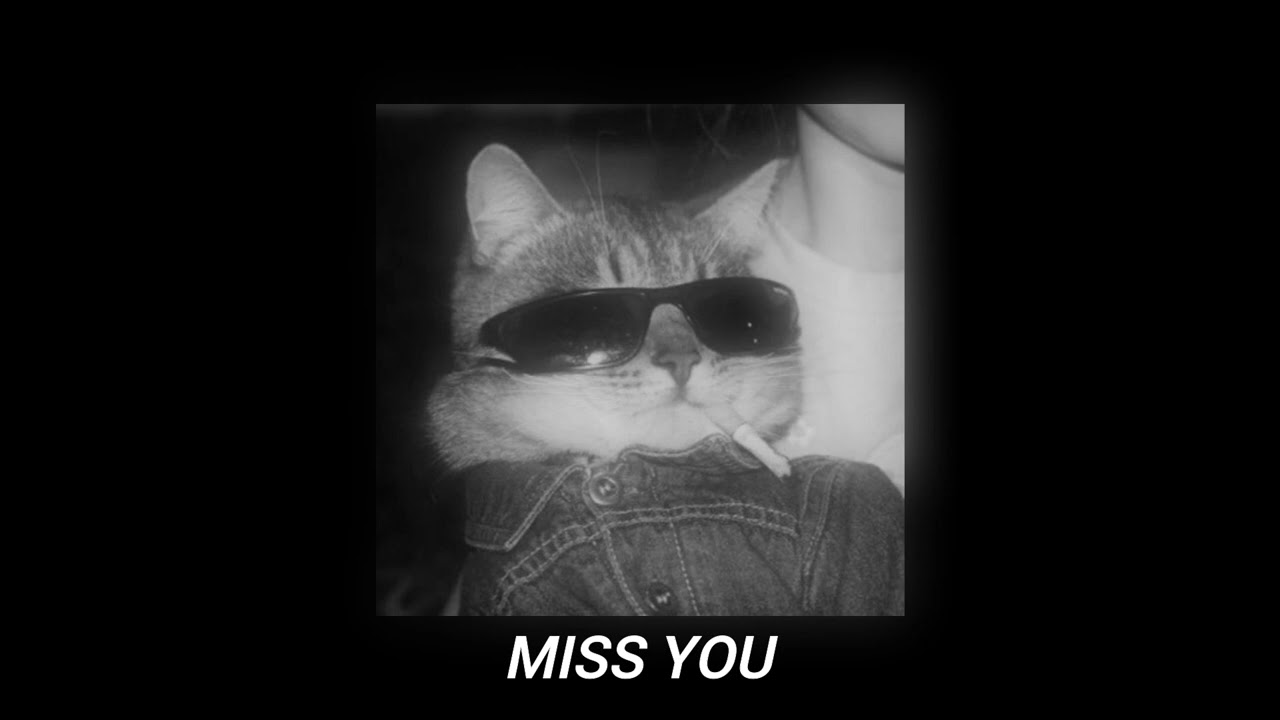 Oliver Tree & Robin Schulz - Miss You (speed up/reverb)