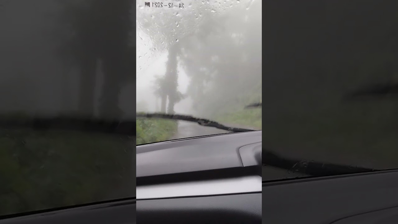 driving, mazha , higrange😍❤️ #highrange #idukki #rain #driving