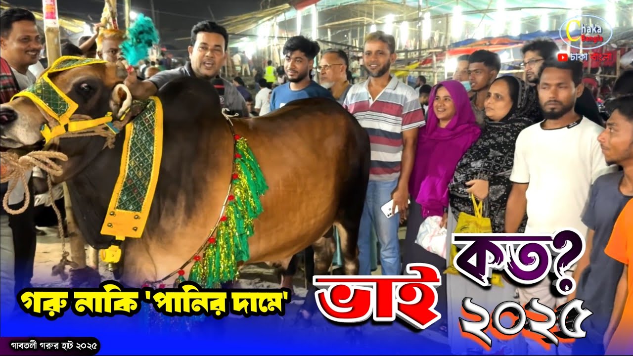 বৃষ্টিতে 
