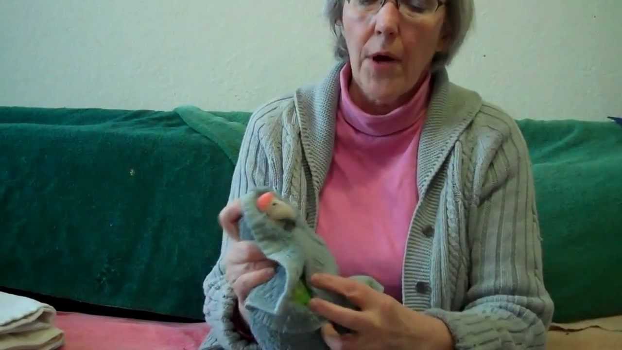 Basic Parrot Towel Restraint